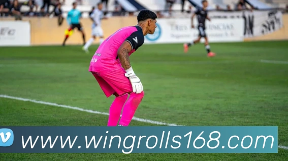 买球官方APP 体育赛事宣传图